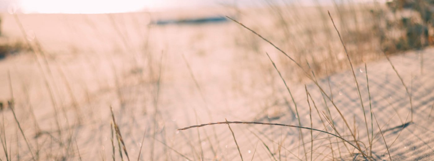 Strand med halm og havet i baggrunden